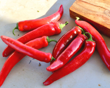 Garden Salsa Hybrid Hot Pepper Seeds
